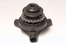 Timone Mascalzone latino